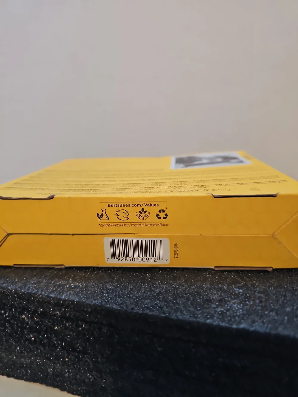 Burt's Bees Tips and Toes Kit